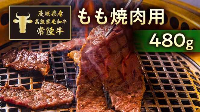 茨城県産高級黒毛和牛「常陸牛」　もも焼肉用　480g　[AI009ya]