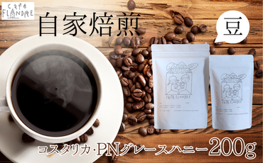 BR-13 【自家焙煎】カフェ・フランドル コスタリカ・PNグレースハニー（200g・豆）