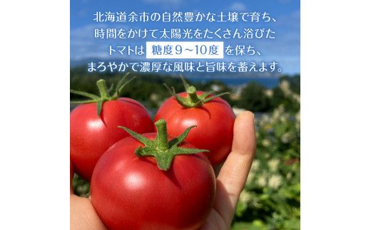 【定期便12回】中野ファームのトマトジュース 710ml×2本
