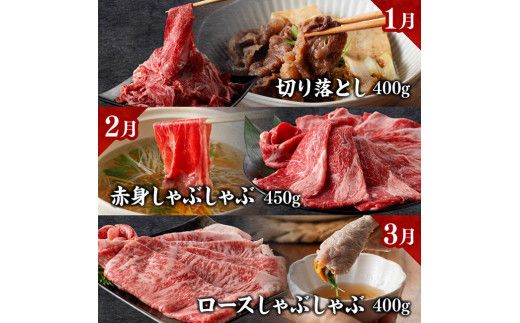 【定期便】宮崎牛　匠の堪能セット 12か月定期便 【 肉 牛肉 国産 黒毛和牛 宮崎牛 全12回 焼肉 しゃぶしゃぶ 焼きしゃぶ BBQ 宮崎県 川南町 】[C11413t12]