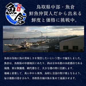 【早期受付】【ボイル】タグ付き松葉ガニ　大1枚（800g前後）《かに カニ 蟹 ズワイガニ》※着日指定不可※2024年11月上旬頃から順次発送予定