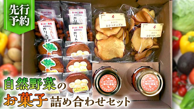 先行予約 】自然野菜の お菓子 詰め合わせ セット （ 2024年12