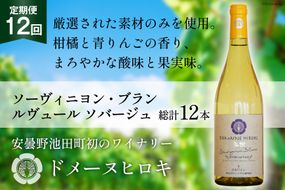 【12回 ワイン 定期便 】ソーヴィニヨン ブラン ルヴュール ソバージュ750ml 1本 ×12回 総計12本 [ヴィニョブル安曇野 DOMAINE HIROKI 長野県 池田町 48110706] 白ワイン お酒 酒