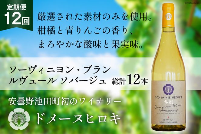 【12回 ワイン 定期便 】ソーヴィニヨン ブラン ルヴュール ソバージュ750ml 1本 ×12回 総計12本 [ヴィニョブル安曇野 DOMAINE HIROKI 長野県 池田町 48110706] 白ワイン お酒 酒