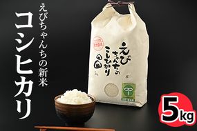 えびちゃんちの米　さくら市葛城産　5Kg  ≪令和6年産 米 お米 白米 ご飯 栃木県産 送料無料≫