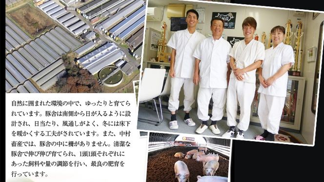 【茨城県共通返礼品／行方市】 美明豚 こま切れ 約2.2kg 豚肉 豚 SPF ブランド豚 こま切れ 煮物 牛丼 [CF013ya]