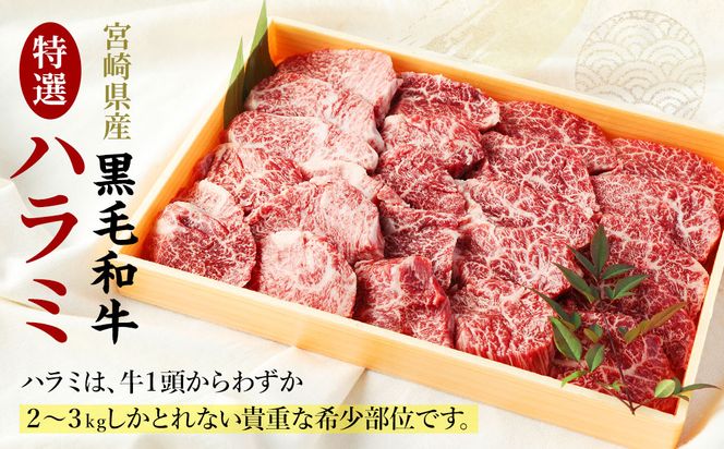 y{茧S璬z{茧YјaIn~500g2026N9ɏoׁyc610_tf_x2z