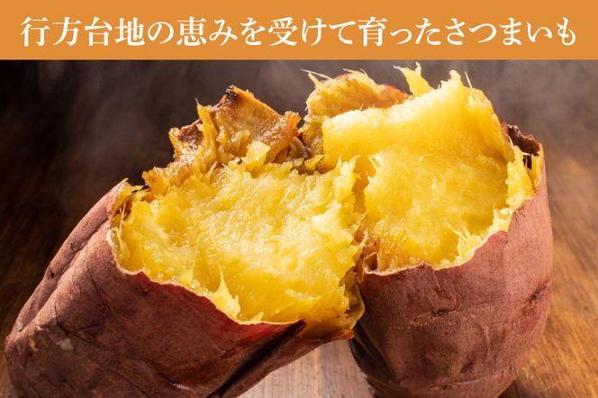 令和5年度収穫 さつまいも小芋 10kg 茨城県 大学いも 訳アリ - 野菜