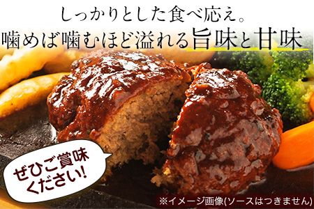 馬肉入り手作りハンバーグ(約150g×9個)　肉の宮本《45日以内に出荷予定(土日祝除く)》---sn_fmiyahamburg_45d_r7_11000_9i---