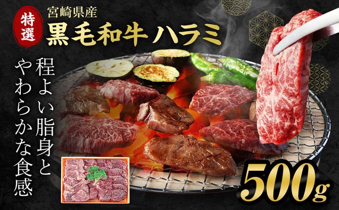 ＜宮崎県産黒毛和牛特選ハラミ500g＞2026年12月末迄に順次出荷【c610_tf_x2】