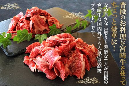 ＜宮崎牛切り落し 合計約600g (約300g×2パック)＞2か月以内に順次出荷【a0505_sh】