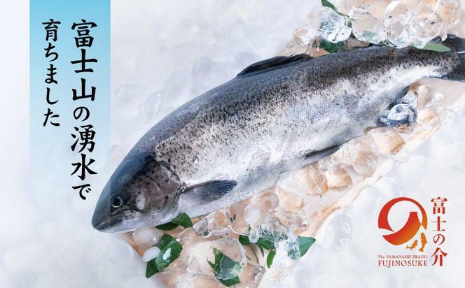 CV001　富士の介お刺し身セット