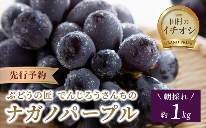 【先行予約】 ナガノパープル 1kg 冷蔵 高級 種無し 種なし ブドウ ぶどう 品種 果物 甘さ 大粒 美味しい 食べ方 人気 ランキング おすすめ 福島県 田村市 鈴木農園 でんじろうさん