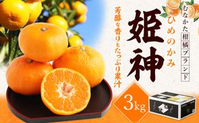 旬のミカンをお届け！JAむなかた柑橘ブランド「姫神」3kg 甘くておいしいみかん【2025年1月～4月上旬発送】【ほたるの里】_HA0281