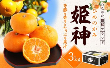 旬のミカンをお届け！JAむなかた柑橘ブランド「姫の神」3kg 甘くておいしいみかん【2024年1月～4月上旬発送】【ほたるの里】_PA0281