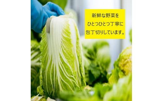 出雲の食卓満喫セット（お漬物 出雲そば しじみ あご野焼き）【1_4-030】