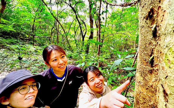 沖縄県北部やんばる・大宜味村最高峰ネクマチヂ岳を登る【5名様】
