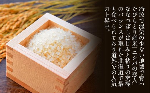 北海道で１番人気！「ニシパの恋人」ななつぼし10㎏ ふるさと納税 人気 おすすめ ランキング ニシパの恋人 ななつぼし お米 米 ご飯 白米 おいしい 北海道 平取町 送料無料 BRTH014 