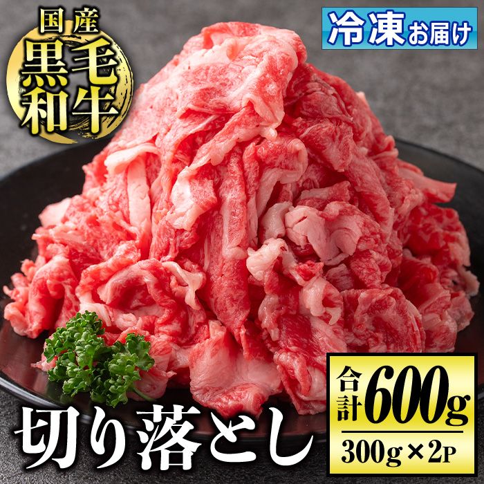 isa508 国産黒毛和牛 切り落とし(計600g・300g×2P)[お肉の直売所 伊佐店]