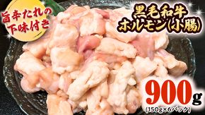 茨城県産 黒毛和牛 ホルモン 小腸 900g （150g × 6パック） 旨辛たれ 下味付き	BBQ バーベキュー 焼肉 冷凍 小分け	[AU078ya]