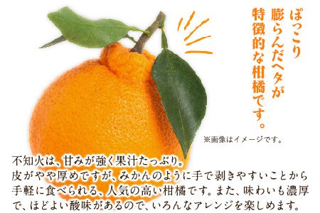 森田果樹園の不知火 5kg《2027年2月中旬-4月下旬頃出荷》森田果樹園 果物 フルーツ 柑橘 熊本---hkw_mtk_7_5kg---