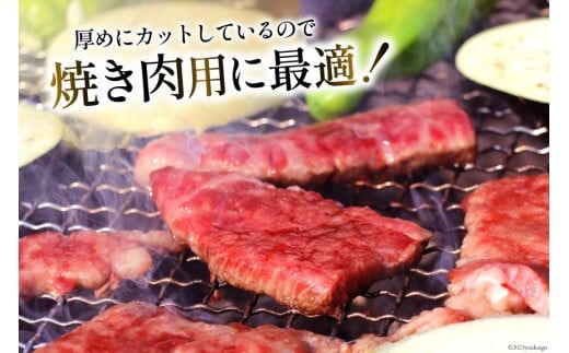 宮崎和牛 切り落とし 焼肉 600ｇ [道の駅「日向」物産館 宮崎県 日向市 452060795] 切落し きりおとし 牛肉 黒毛和牛 宮崎県産 焼き肉