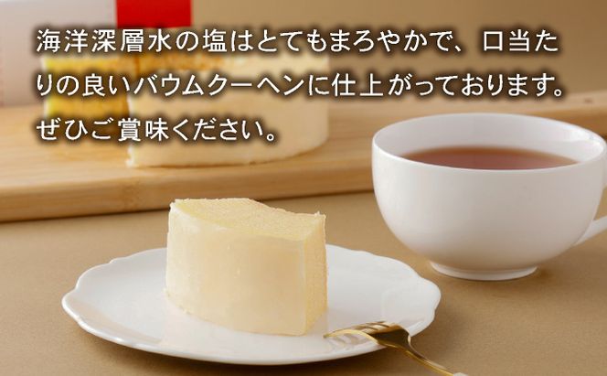 塩バウムクーヘン　si001