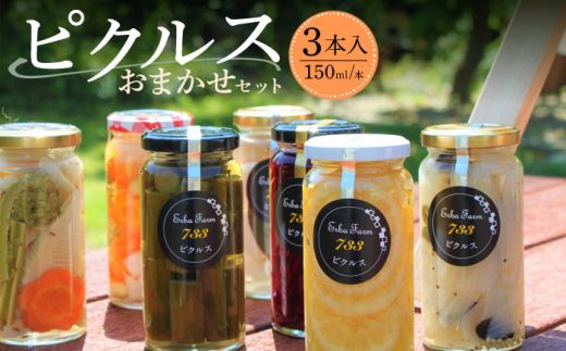 [農家のこだわり野菜使用]おまかせ ピクルス 3本[築上町][ERBA FARM733][ABAP001]