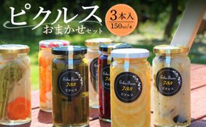 【農家のこだわり野菜使用】おまかせ ピクルス 3本《築上町》【ERBA　FARM733】[ABAP001]