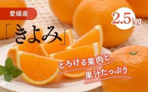 清見タンゴール（生果2.5kg）｜柑橘 みかん ミカン 蜜柑 果物 フルーツ 愛媛県 伊方町産　※離島への配送不可　※2025年3月上旬～4月上旬頃に順次発送予定