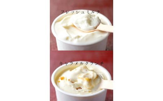 【北海道産搾りたて生乳使用】ひらかわ牧場のアイスクリーム おすすめ2種12個セット フレッシュミルク キャラメルクランチ デザート スイーツ お取り寄せ ギフト せたな町 ふるさと納税　