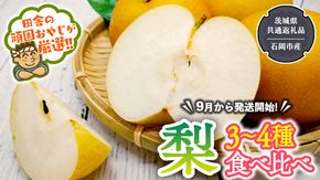 梨 食べ比べ 3～4種類【9月より発送開始】（茨城県共通返礼品：石岡市産）田舎の頑固おやじが厳選！[BI124-NT]