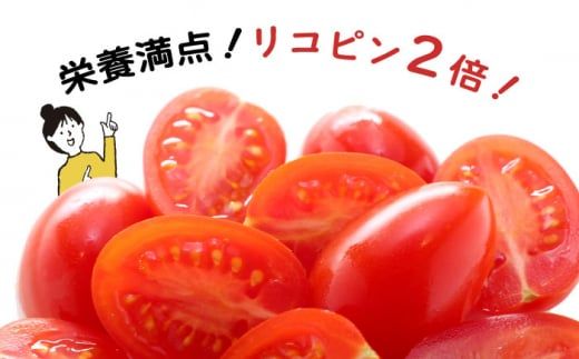 【2026年1月～発送】【完熟ミニトマト】アイコトマト 約1kg / トマト とまと 野菜 / 南島原市 / 長崎県農産品流通合同会社 [SCB039]