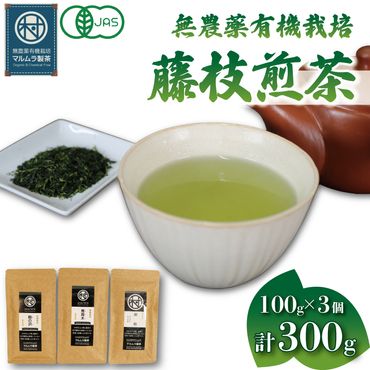 有機 栽培 藤枝 煎茶 3種セット 100g×3個 計300g 無農薬 煎茶 有機栽培 お茶 静岡茶 贈答 ギフト お取り寄せ マルムラ製茶 静岡県産 藤枝［PT0207-000009］