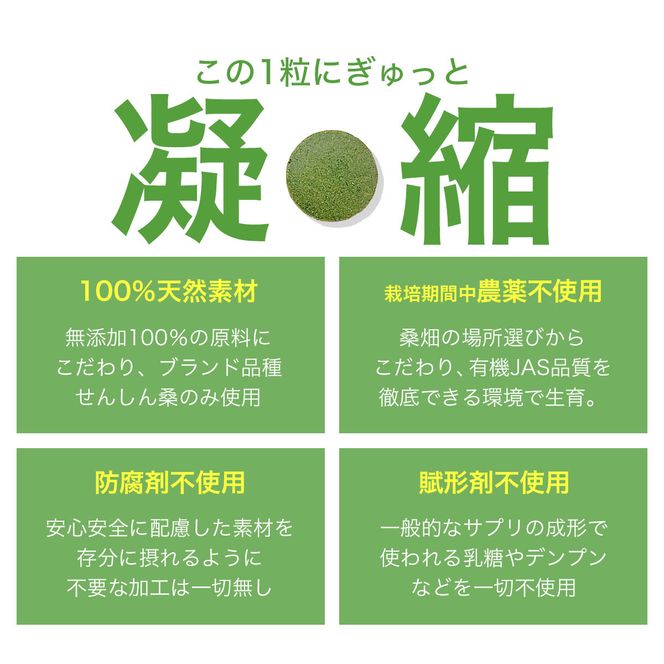 a934 さつま桑粒10袋セット【わくわく園】桑の葉 サプリ サプリメント くわ 天然100％ 有機 桑の葉 有機JAS