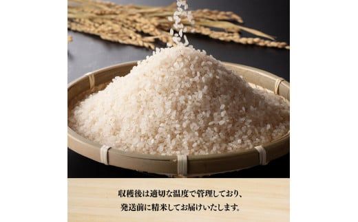 【令和6年産】永友農園産「こしひかり」10kg（10kg×1袋）　【 米 お米 白米 精米 国産 宮崎県産 コシヒカリ 】 [D10604]