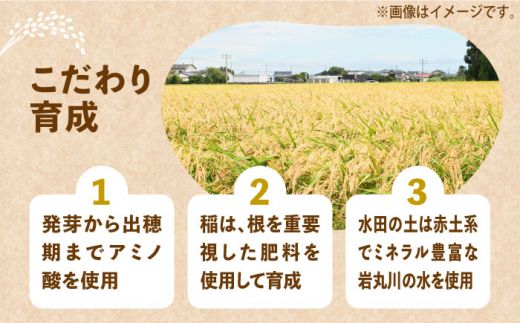 【全3回定期便】【令和6年産先行予約】 ひかりファーム の 夢つくし 5kg【2024年10月以降順次発送】《築上町》【ひかりファーム】[ABAV034]