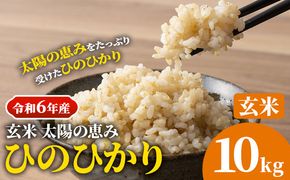 【令和6年産 予約受付】玄米 岡山県産 ひのひかり 笠岡産 10kg《10月下旬-9月下旬頃出荷》農事組合法人奥山営農組合 太陽の恵み---O-06_10k_玄米---