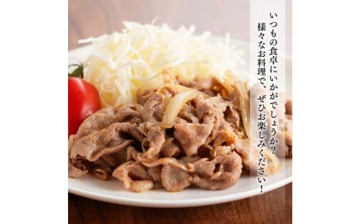 宮崎県産豚肉 小野さんちの豚肉 切り落とし 2.5kg 【 豚肉 豚 肉 宮崎県産 小分け パック 便利 】 [E10505]