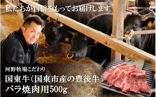 国東牛（国東市産の豊後牛）バラ焼肉用（1口カット）500g_2211R