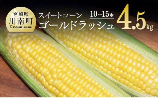 【令和6年発送】 宮崎県産 とうもろこし 大山さんちの スイートコーン ( ゴールドラッシュ ) 4.5kg 【 先行予約 数量限定 期間限定 スィートコーン 2024年発送 先行受付 宮崎県産 九州産 】 [E7104]