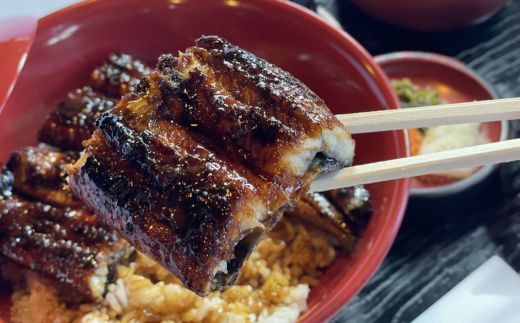 うなぎ 志おや 九州産 うなぎ 蒲焼 3本 タレ 付 【スピード発送】 H-02 