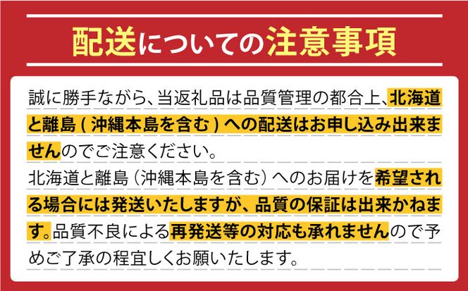 【年6回 旬のフルーツ定期便】旬の果物をお任せで6回お届け みかん ぶどう びわ すいか 梨 いちご メロン キウイなど / 南島原市 / 長崎県農産品流通合同会社 [SCB010]