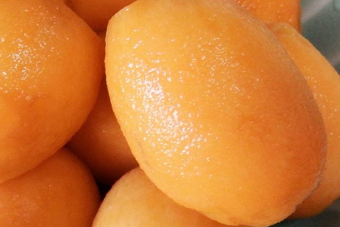 AF221【令和8年度出荷分】果汁たっぷり！川田さん家の温室栽培びわ 1kg [びわ ビワ フルーツ 果物 長崎県 島原市]