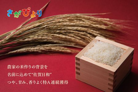 【令和6年産 新米】さがびより 精米 10kg【特A受賞米 米 5kg×2袋 お米 コメ こめ 国産 美味しい ブランド米 人気 ランキング】(H015185)