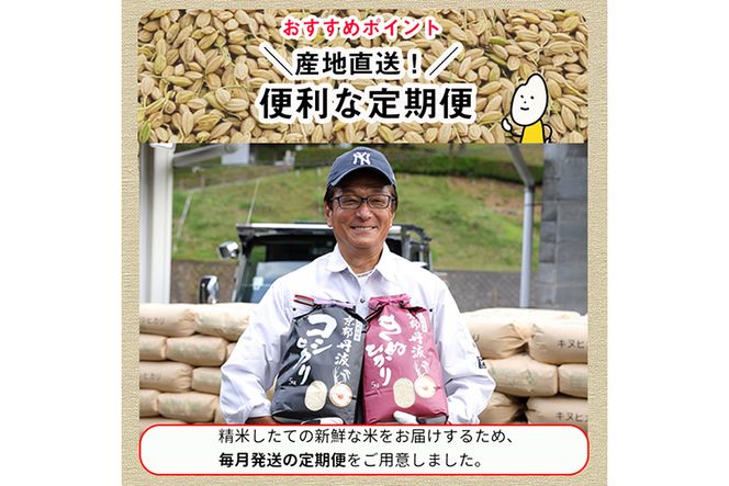 ☆令和5年 京都産 キヌヒカリ 10kg 【WEB限定】 - 米・雑穀・粉類