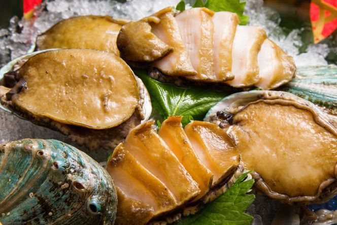 AF030【訳あり】漁協直送！島原ジオあわび 8個（ちょっと小ぶり：6cm以上）