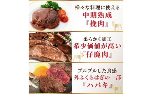 北見エゾシカ 熟成肉山の恵みセット ( 肉類 肉 国産 鹿肉 熟成 セット 詰め合わせ 骨付き ロース しんたま 内もも ステーキカット肉 ハバキカット ハツ ヒレ ステーキ用スライス )【025-0030】