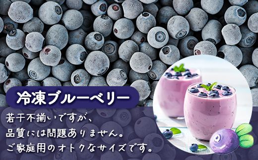 【定期便6カ月】北海道 豊浦町産 冷凍 ブルーベリー 1kg 栽培期間中農薬不使用 TYUS013