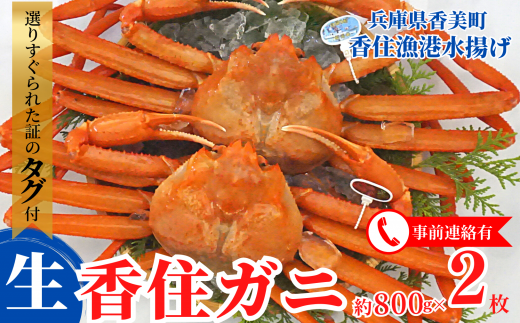 [先行予約][香住ガニ(生)大 タグ付き 約800g×2枚 冷蔵]令和7年11月以降発送予定 漁協から配送日調整の電話が入ります 蟹 紅ずわいがに ベニズワイガニ 兵庫 香美 香住 遊魚館 03-07